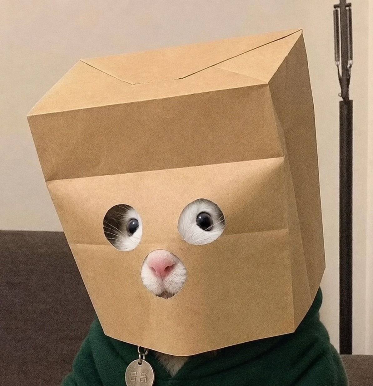 Anonymous Rat, original case photo